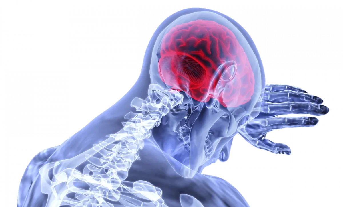rehabilitation spine head brain injury
