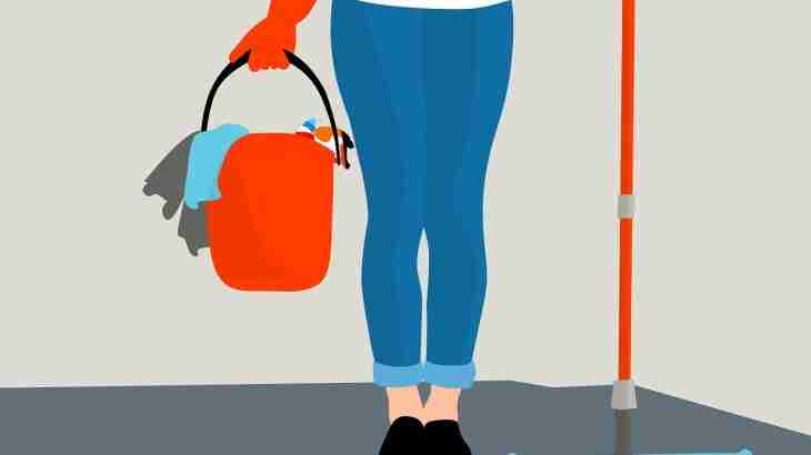slip accident cleaner mop wet floor