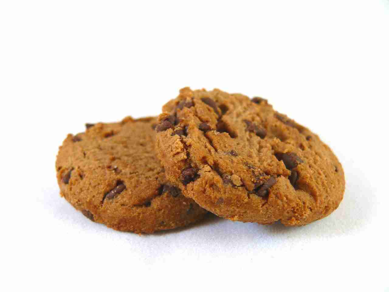 Stone In Biscuit Causing Tooth Damage Stone Biscuit Tooth Damage